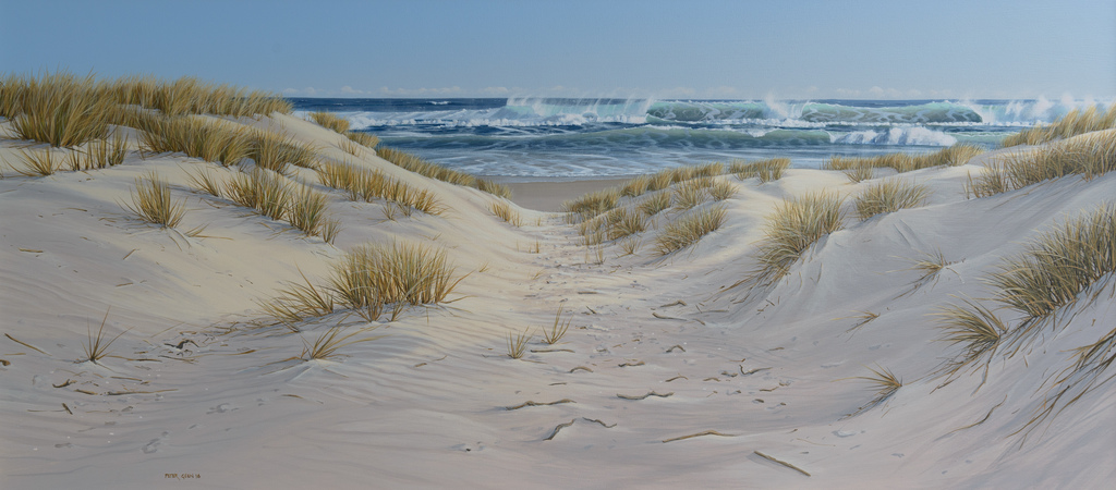 Shifting Sands - Farewell Spit