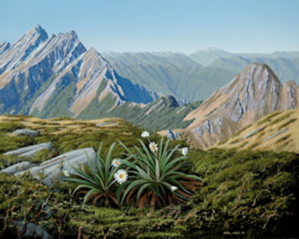 Dragon's Teeth, Kahurangi National Park